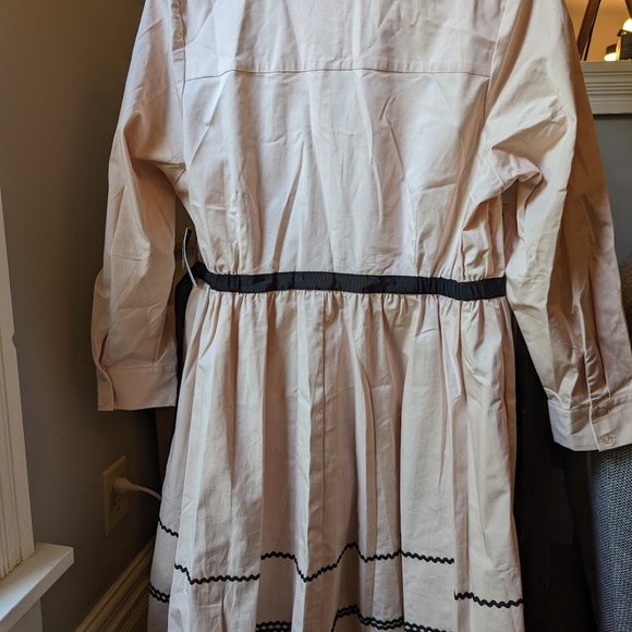 Blush and Black Dress - Picture 6 of 6